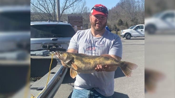Photos: New KY State Record Set For 9.05lb Saugeye Fish | Country Music Videos