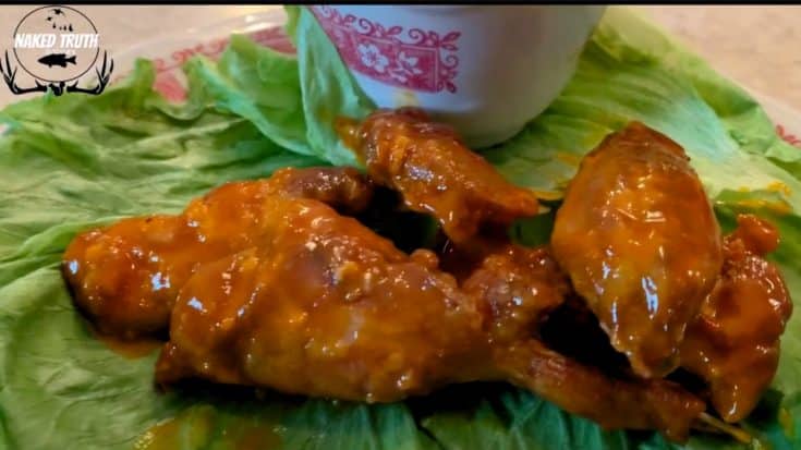 Redneck Buffalo Wings: How To Make Buffalo Squirrel Wings | Country Music Videos