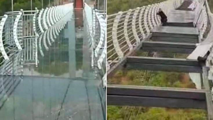 Tourist Trapped On Glass Bridge After Winds Shake Panels Loose | Country Music Videos