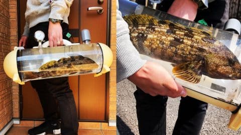 Bring The Fish You Caught Home With This New Handbag | Country Rebel ...