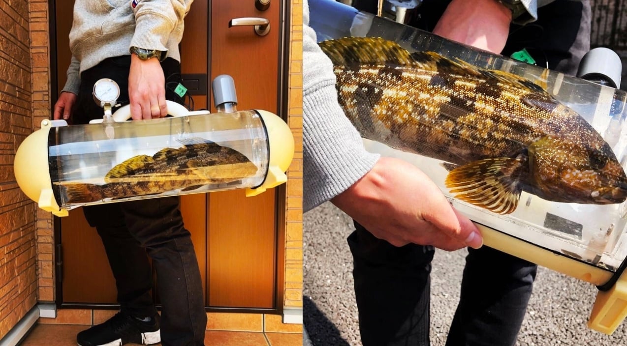 Bring The Fish You Caught Home With This New Handbag