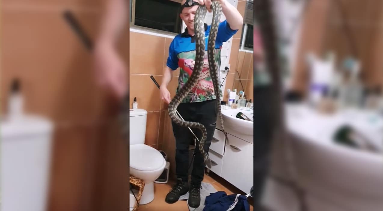 7-Foot Python Holds Family’s Bathroom Hostage | Country Music Videos