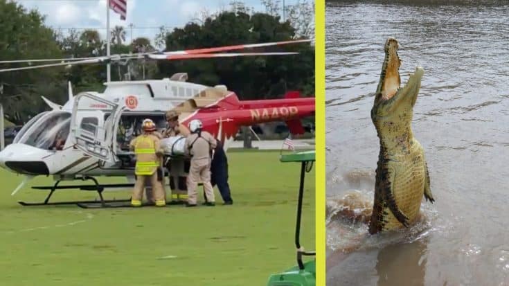 Bicyclist Falls Off Bridge In Florida & Gets Bitten By Alligator | Country Music Videos