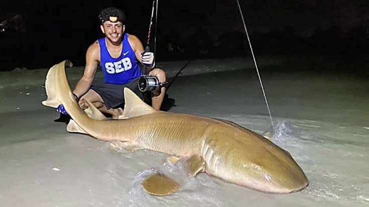 8ft Nurse Shark Caught By 18-Year-Old Vacationer | Country Music Videos