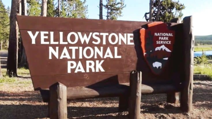 Man Earns 5-Year Ban From Yellowstone For “Unacceptable” Behavior | Country Music Videos