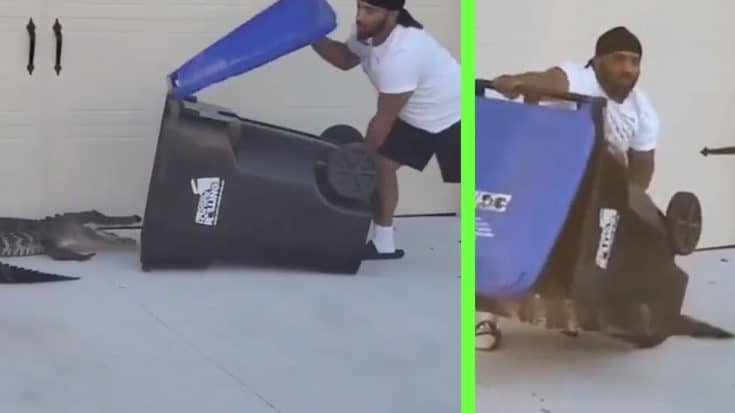Army Vet Traps Angry Gator In Trash Bin | Country Music Videos
