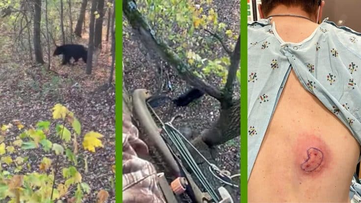 Bear Bites Baseball Player Bowhunting In Tree Stand | Country Music Videos