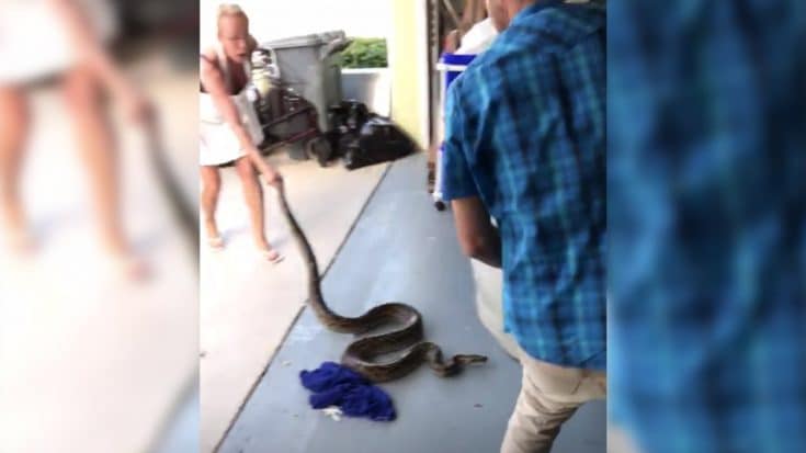 Mom Puts Thanksgiving Meal On Hold To Remove 10ft Snake From Garage | Country Music Videos