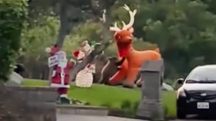 Video: Mama Bear Watches As Cub Attacks Inflatable Reindeer | Country Music Videos