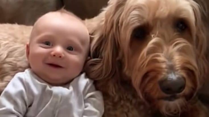 Dog Says To Newborn Baby That He “Loves Him Very Much” | Country Music Videos