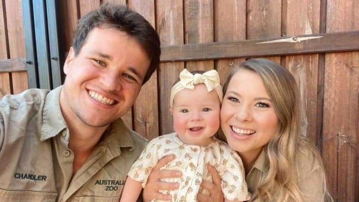 Bindi Irwin Reveals Daughter Grace’s 400-Pound Best Friend | Country Music Videos
