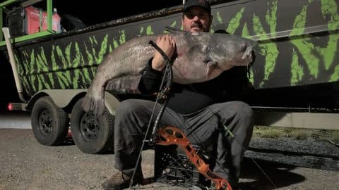Hunter Bow Kills 4ft Catfish & Breaks Virginia State Record | Country Music Videos
