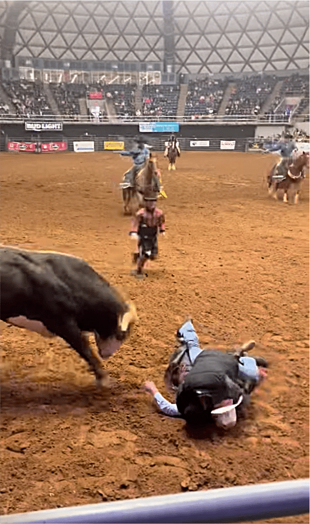 Bull Rider Thrown Off & Dad Saves His Life After Bull Goes In For Attack