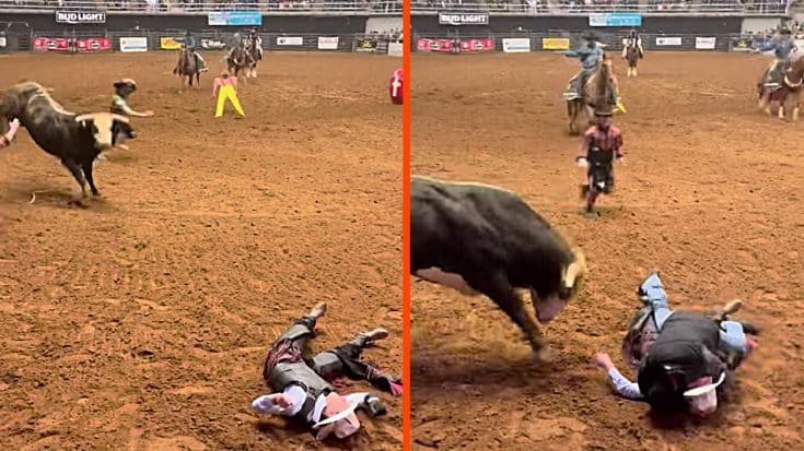 Bull Rider Thrown Off & Dad Saves His Life After Bull Goes In For Attack | Country Music Videos