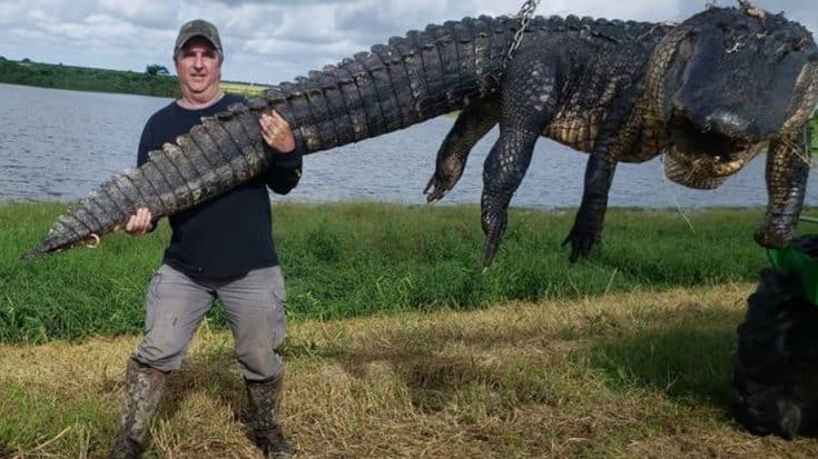 Man Kills Gigantic Gator After Livestock Goes Missing | Country Music Videos