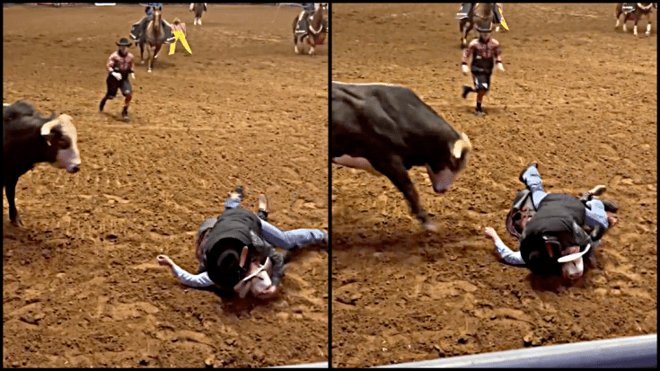 Dad Covers Son’s Unconscious Body With His Own To Save Him From Bull | Country Music Videos
