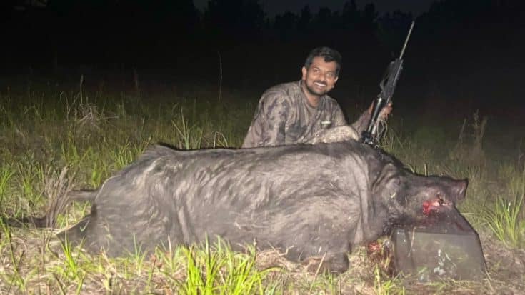 Hunter Kills Colossal Wild Boar Caught Destroying Farmer’s Field | Country Music Videos