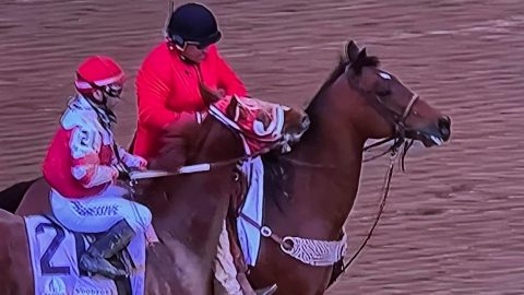 Kentucky Derby Winner Bites Another Horse After Race | Country Music Videos