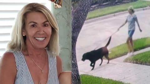 Woman Missing For 3 Days Saved By Her Trusty Dog | Country Music Videos