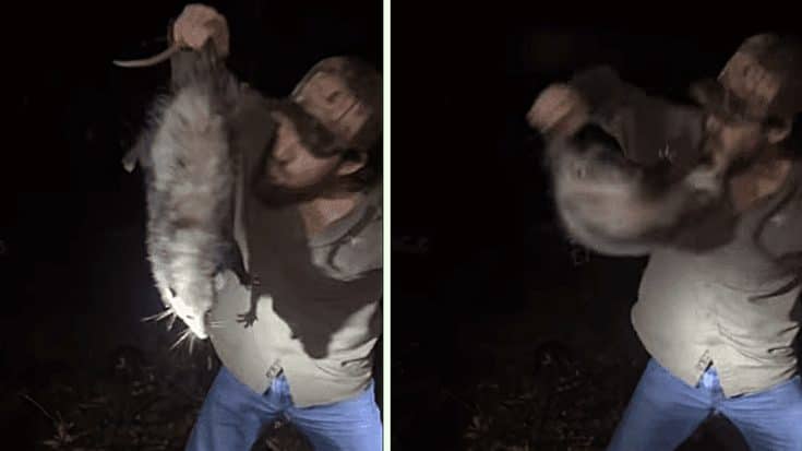 Man Picks Possum Up & It Bites Him On His Face | Country Music Videos