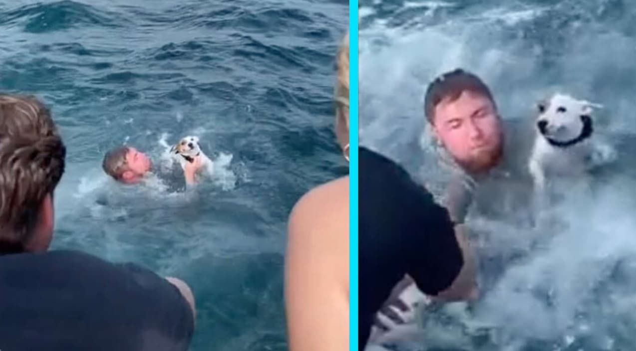 Boaters Find Someone’s Pet In The Middle Of Ocean & Rescue It | Country Music Videos