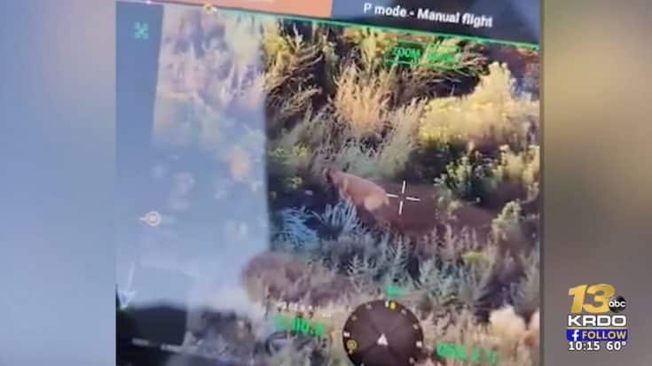 Police Drone Finds Dog Missing For Over 3 Months | Country Music Videos