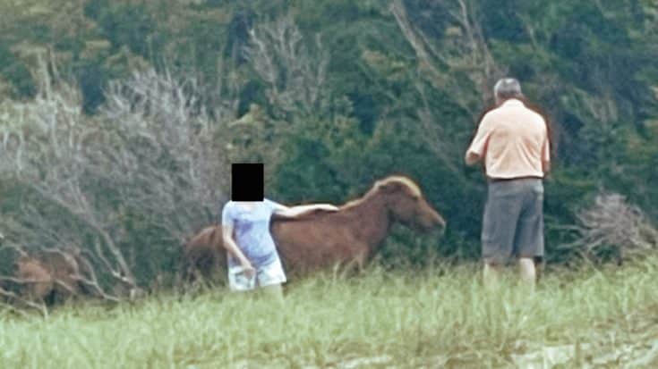 Woman Kicked By Wild Horse After Posing Too Closely For Photo | Country Music Videos