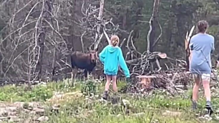Mom Lets Her Young Daughter Get Too Close To Moose | Country Music Videos
