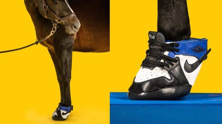 Nike, Adidas, & New Balance Inspired “Horse Kicks” Hit The Market | Country Music Videos