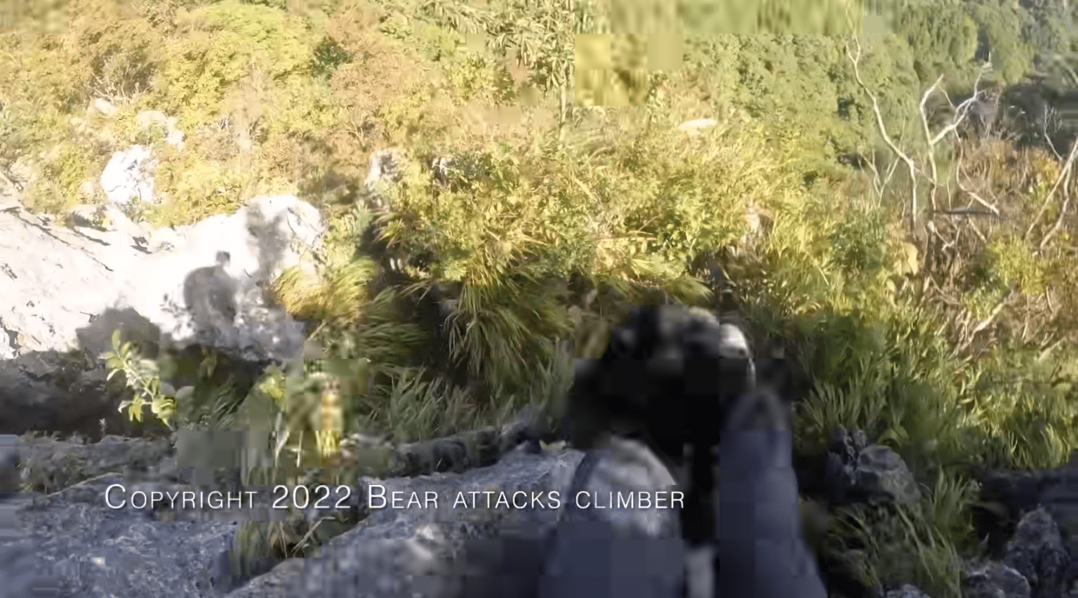 Mountain Climber Whoops Wild Bear & Throws It Off A Cliff