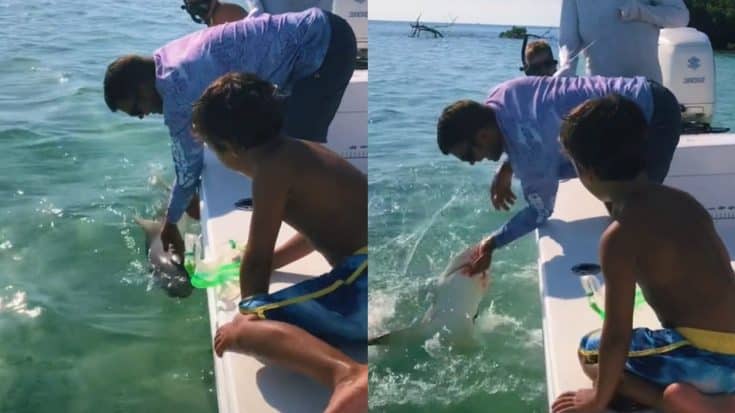 Shark Almost Bites Man’s Finger Off, Video Shows | Country Music Videos
