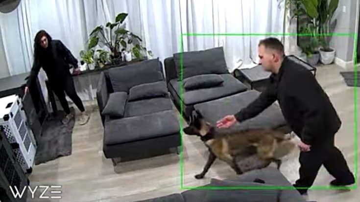Couple Mistakenly Locks Themselves in Dog Crates | Country Music Videos