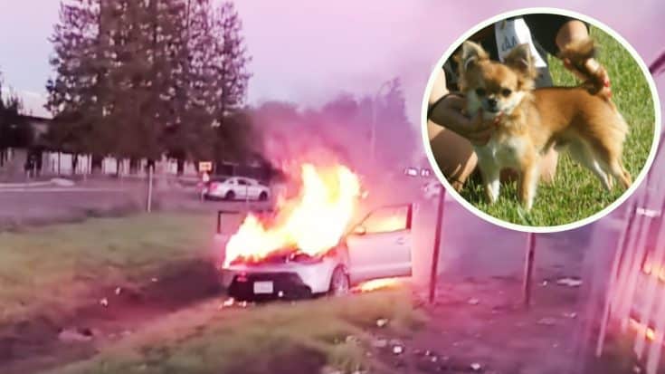 Amazon Driver Risks Life to Save Dog From Blazing Inferno | Country Music Videos