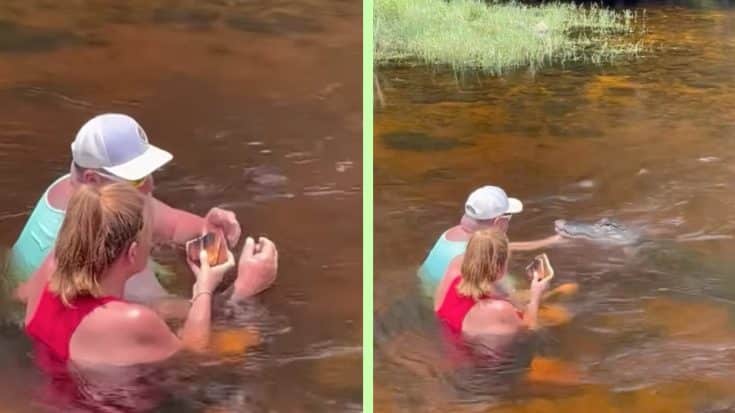Florida Man Hand-Feeds Pork Loin To Wild Alligator | Country Music Videos