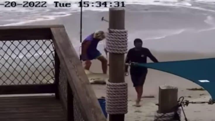 Florida Man Faces Legal Consequences For Hammer Attack On Shark | Country Music Videos
