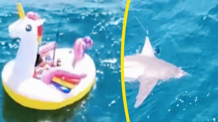 Man Riding Unicorn Floatie Rescued After Being Pulled Out To Sea By A Shark | Country Music Videos