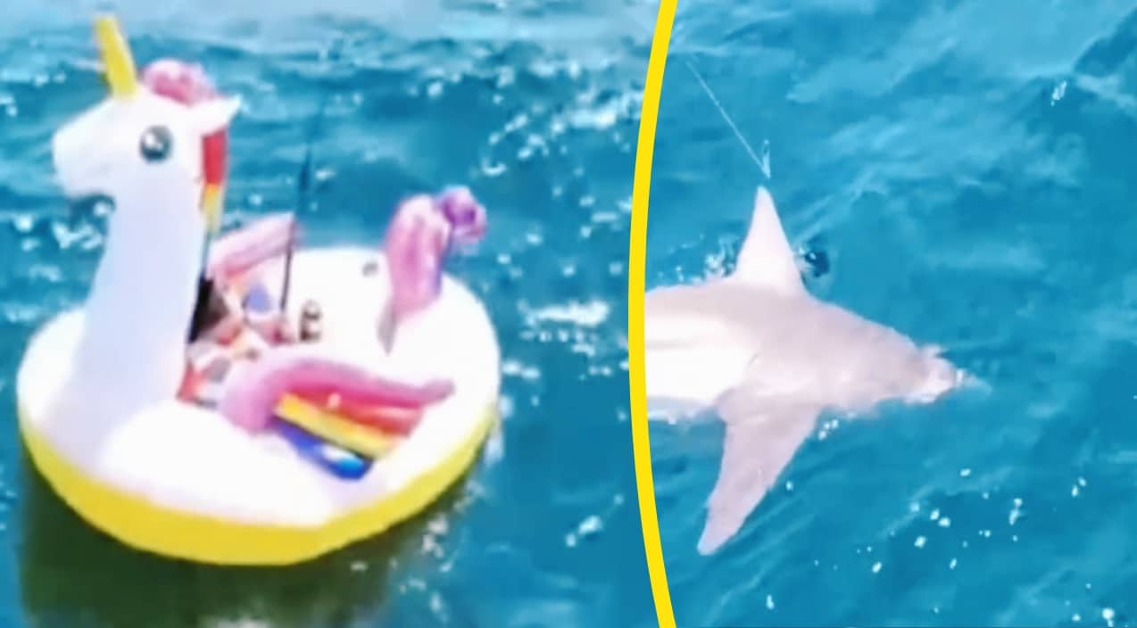 Man fishing for a shark on a unicorn float.