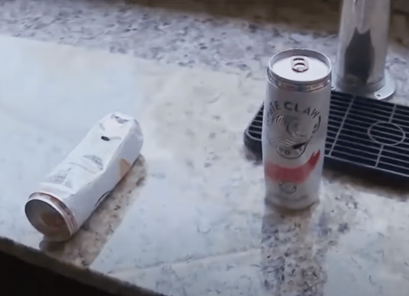 3-Legged Bear Breaks Into Home And Drinks White Claws
