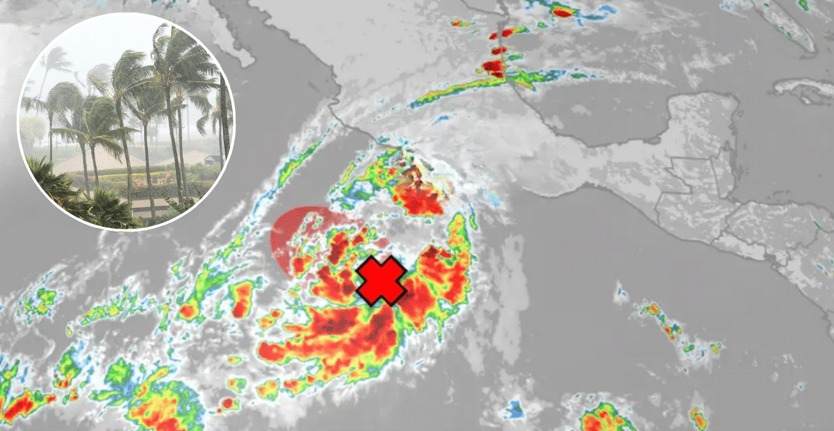 Tropical Storm Alvin Expected To Form This Weekend