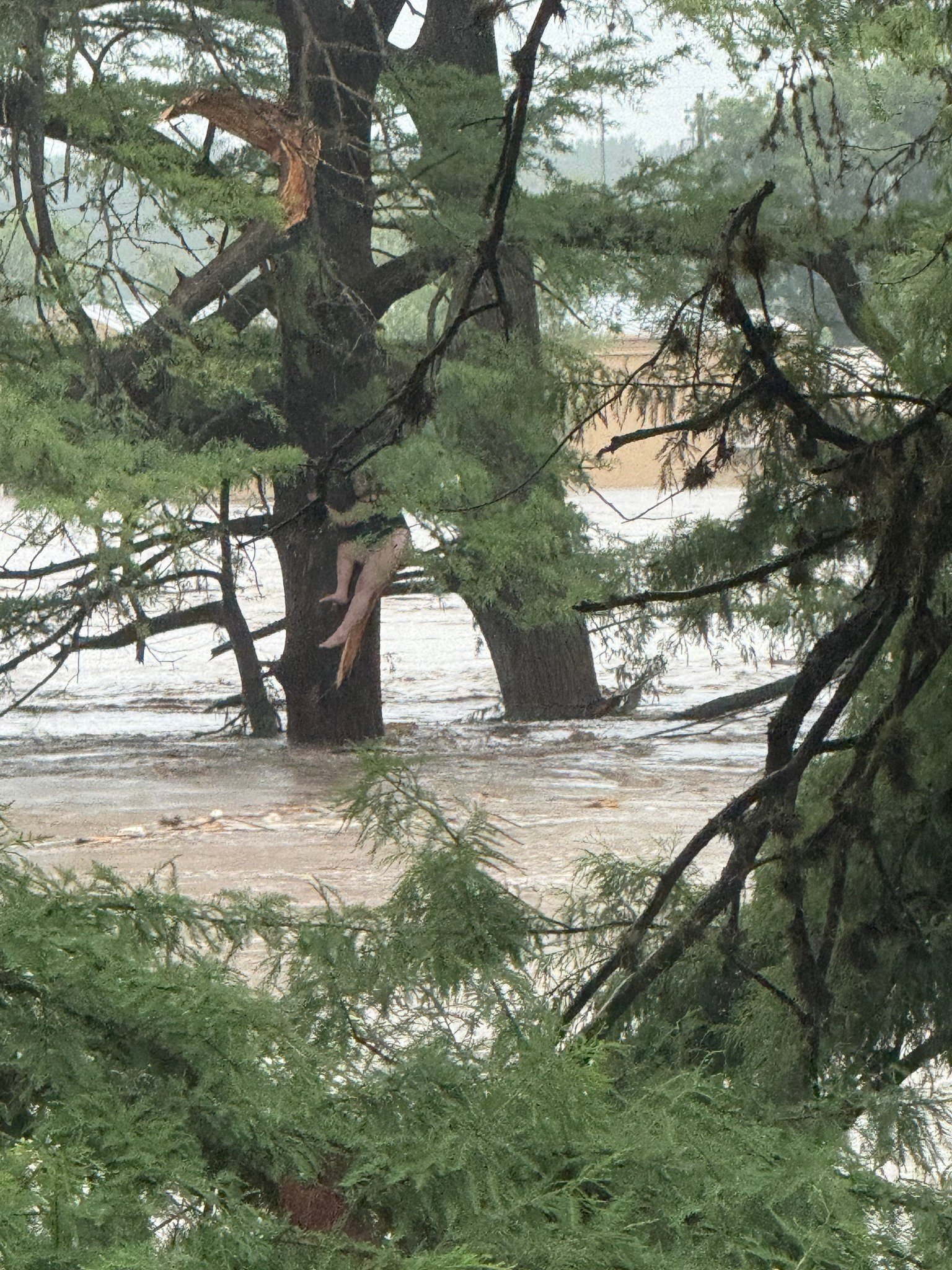 Woman Rescued In Texas Flood