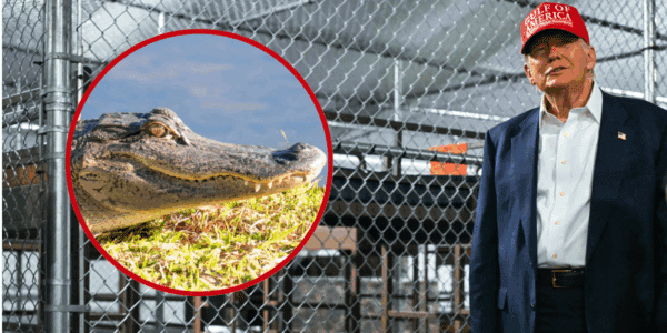 President Donald Trump toured "Alligator Alcatraz" in the Florida Everglades on July 1.