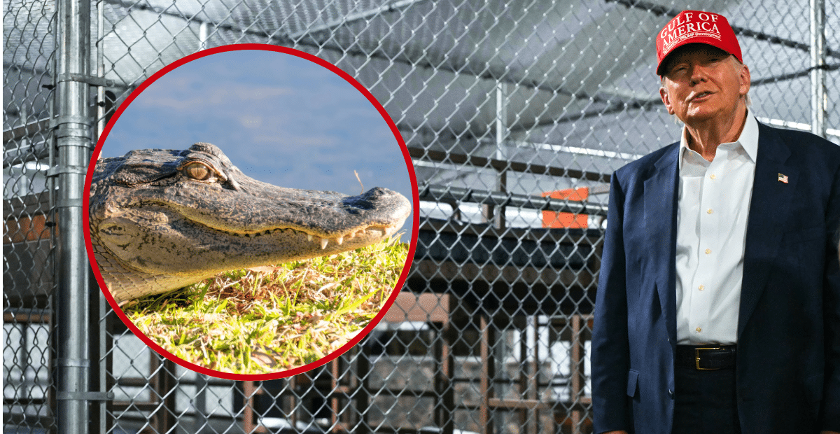 President Donald Trump toured "Alligator Alcatraz" in the Florida Everglades on July 1.
