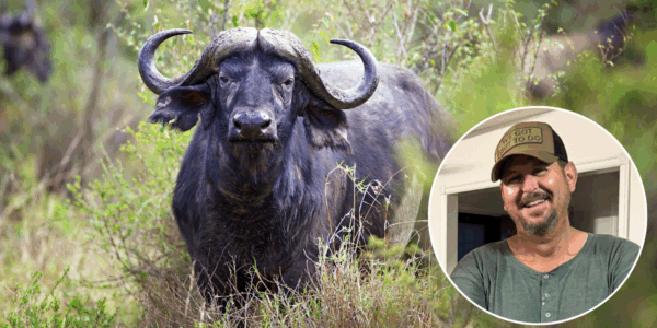 Water Buffalo Kills Farmer