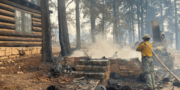 Grand Canyon North Rim Wildfire