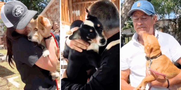 Texas pet owners share emotional reunions with their dogs after the July 4th floods
