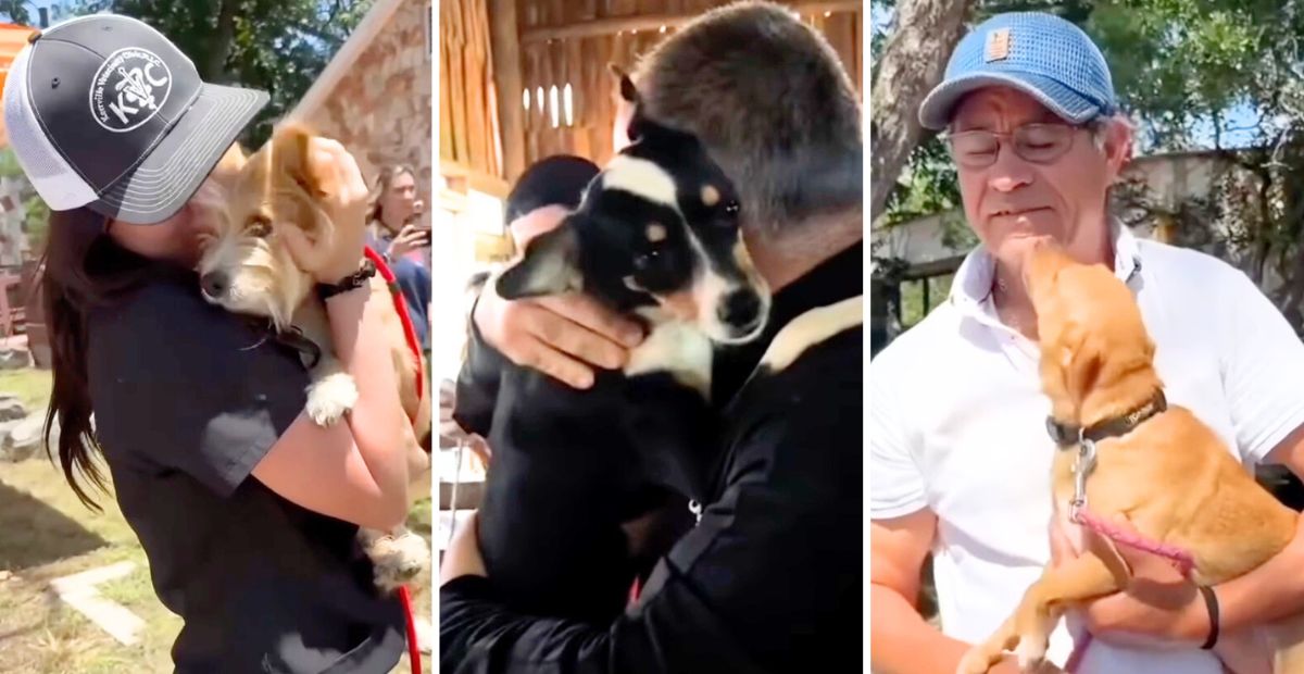 Texas pet owners share emotional reunions with their dogs after the July 4th floods