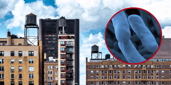 A Legionnaires' disease cluster in Harlem has led to 58 people being diagnosed and two people dying from the rare disease.