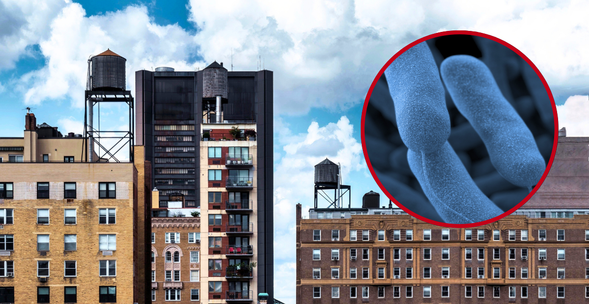 A Legionnaires' disease cluster in Harlem has led to 58 people being diagnosed and two people dying from the rare disease.