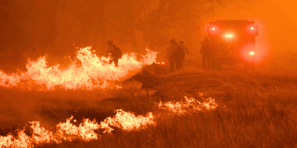 On August 21, a wildfire broke out in Northern California, threatening residents as it expanded through Wine Country.