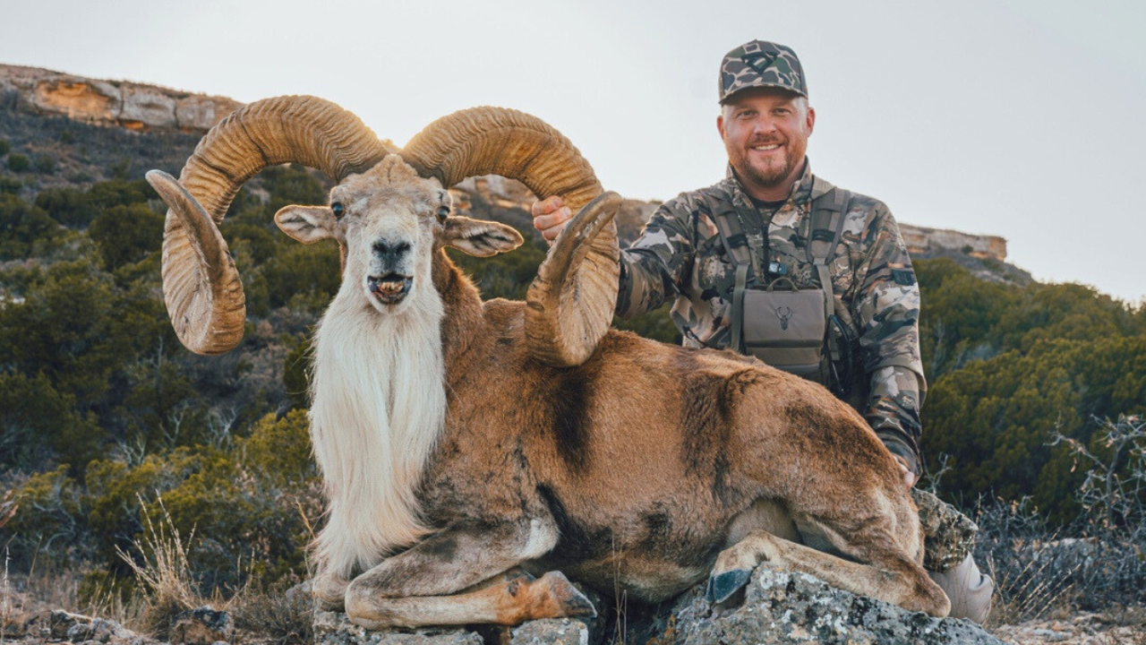 cody johnson and a ram he hunted